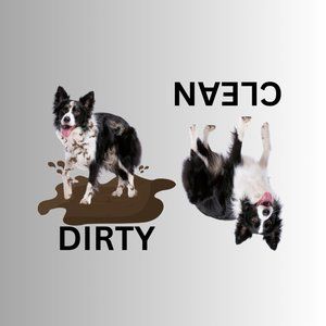 BORDER COLLIE Clean Dirty Dishwasher Flexible Magnet